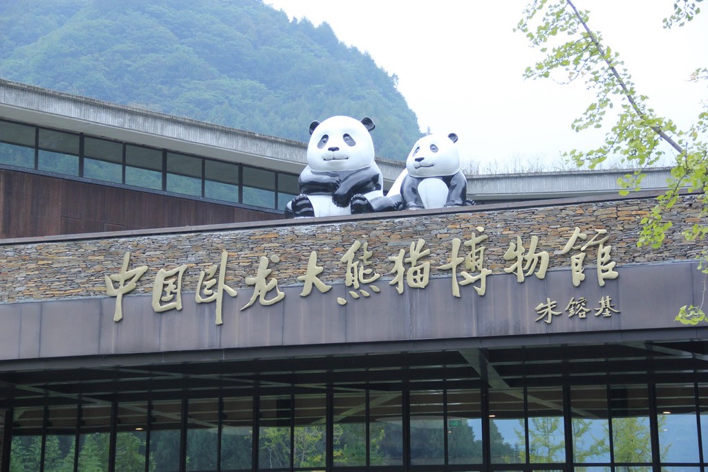 Wolong Panda museum